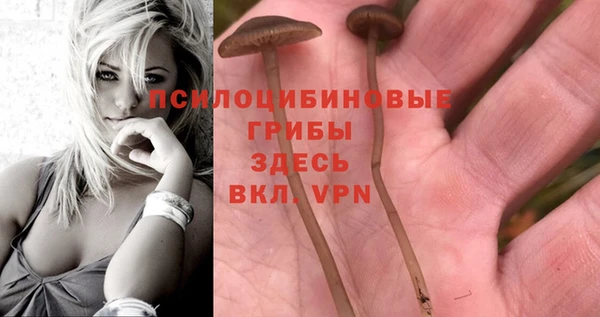 a pvp Богородицк