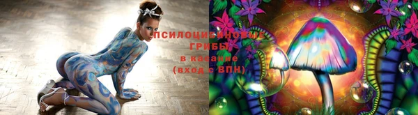 a pvp Богородицк