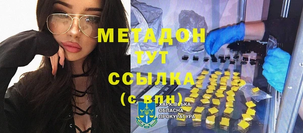 прущие грибы Корсаков