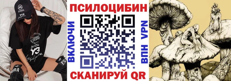 Псилоцибиновые грибы мицелий  маркетплейс состав  Бутурлиновка 