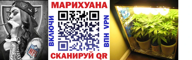 Каннабис планчик Бутурлиновка