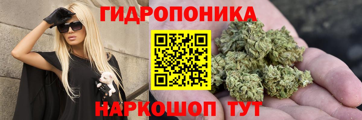 Конопля Bruce Banner  Каннабис марихуана  Бутурлиновка  Вход с VPN 